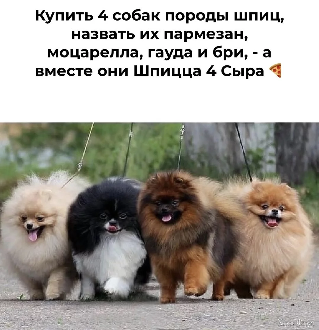 1000010379.webp