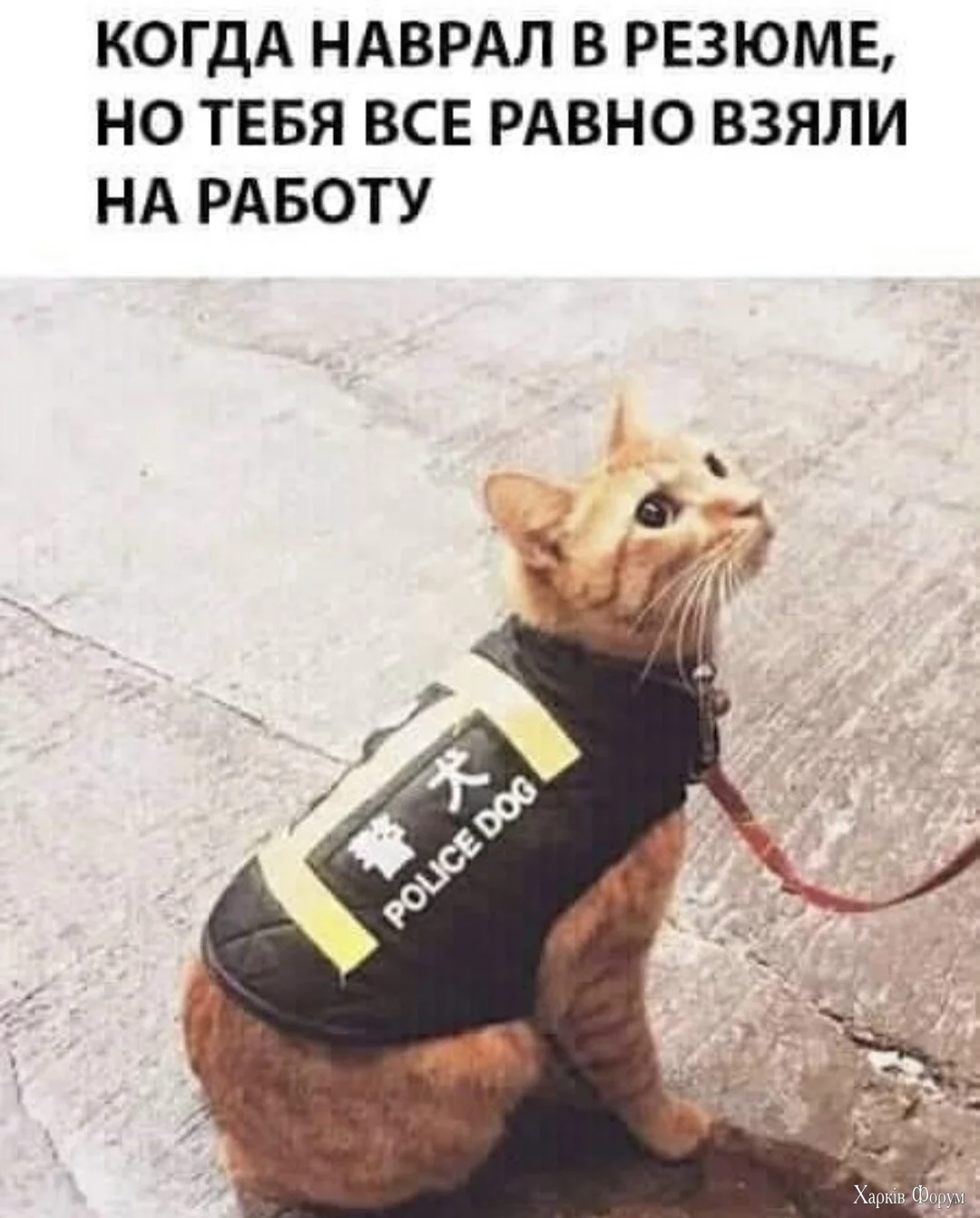 1000010381.webp