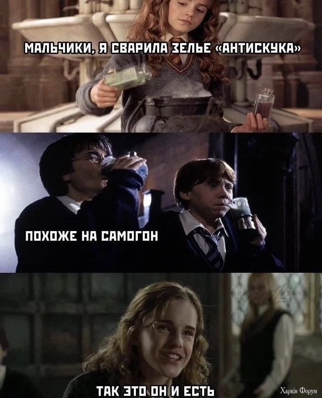 1000010600.webp