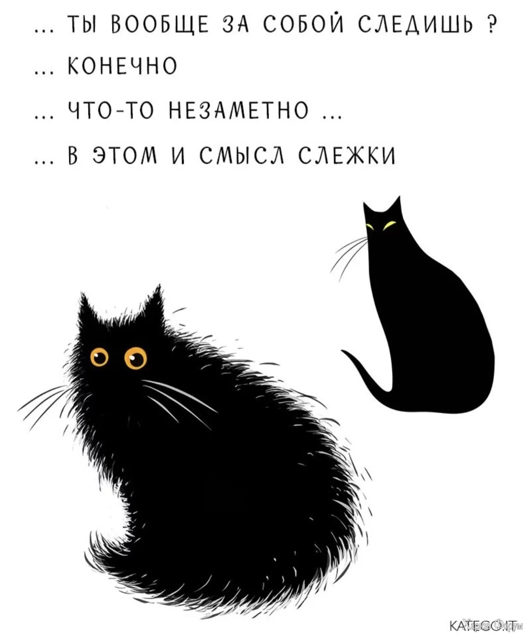 1000011052.webp