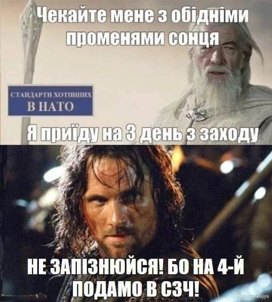1000011275.webp