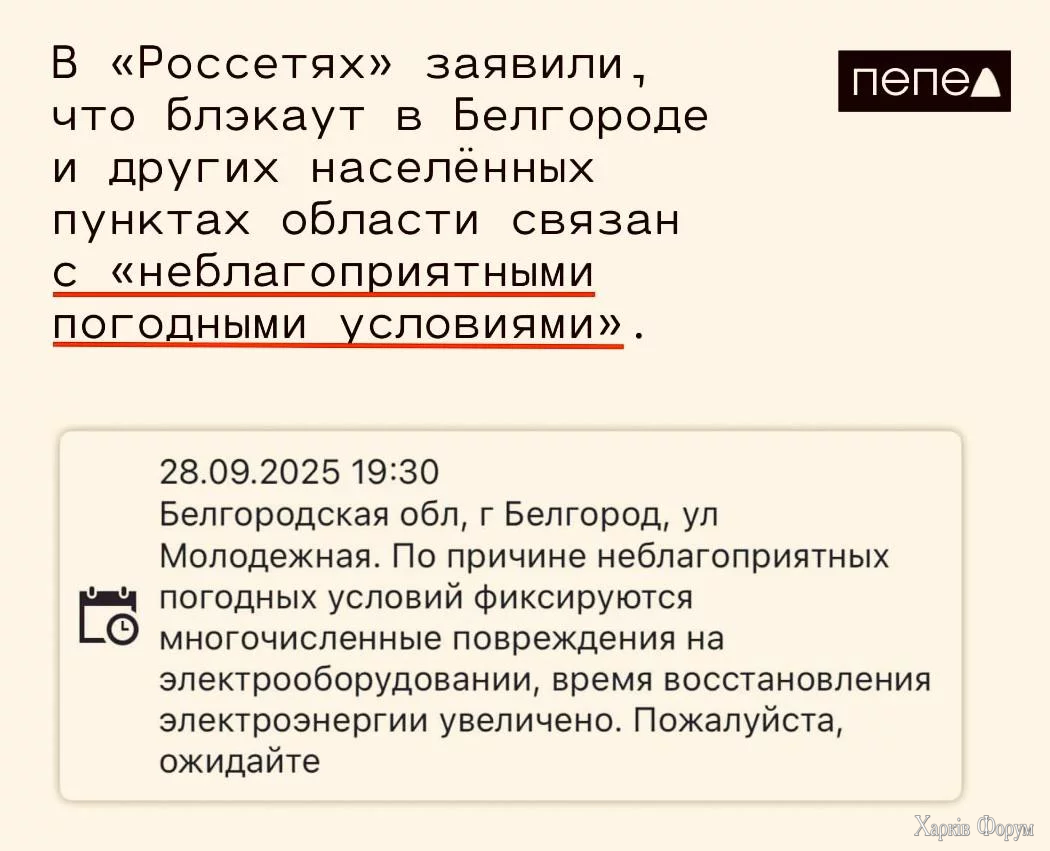 1000011658.webp