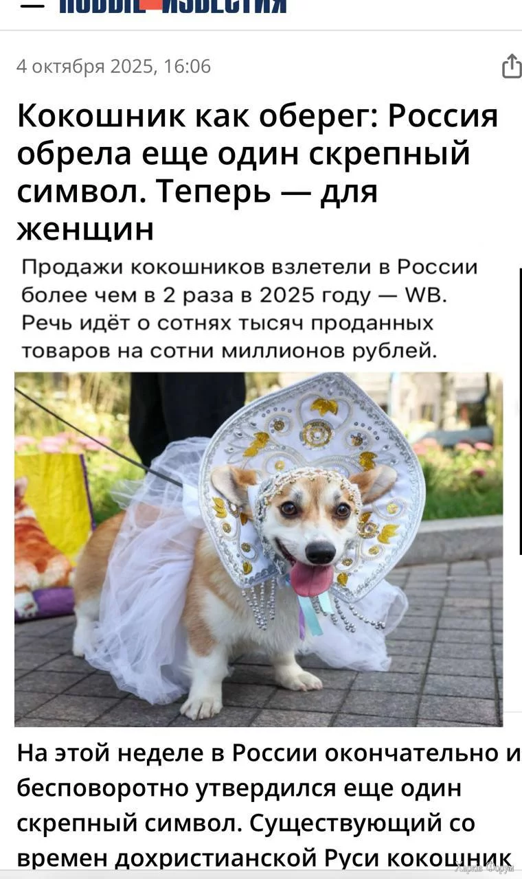 1000011918.webp