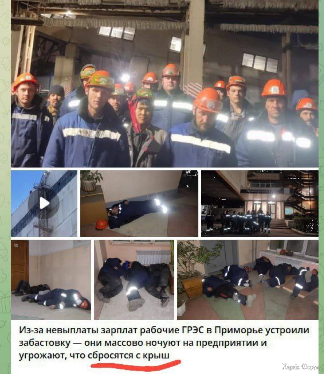 1000012040.webp