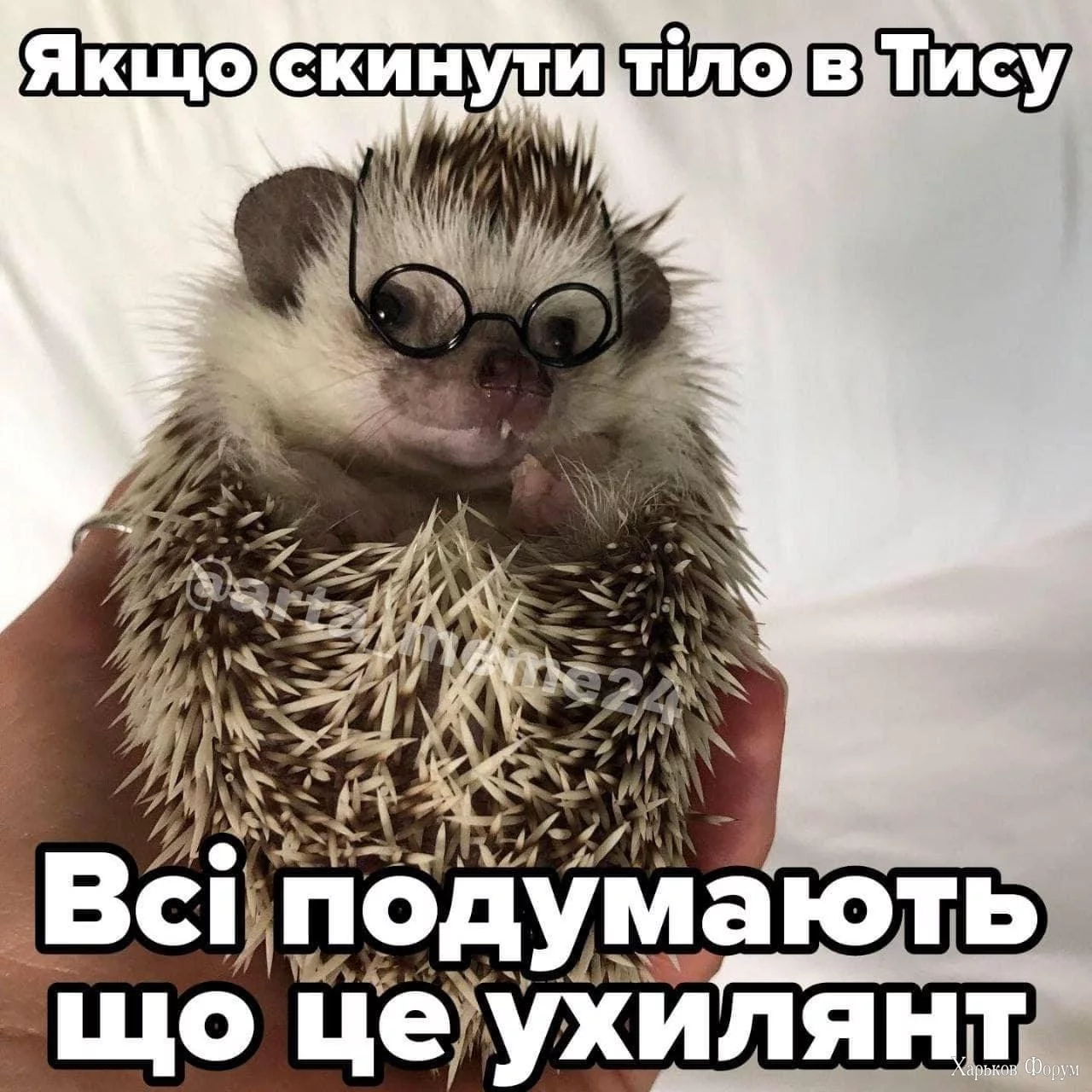 1000012114.webp