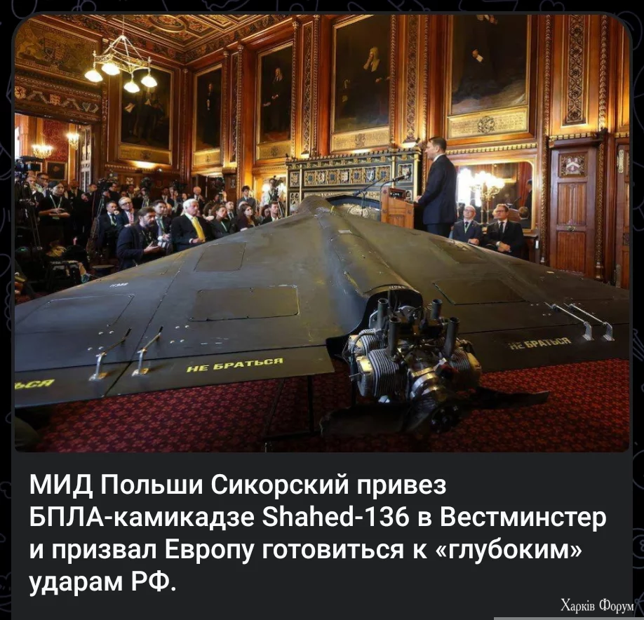 1000012216.webp
