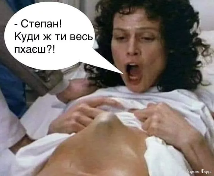 1000012233.webp