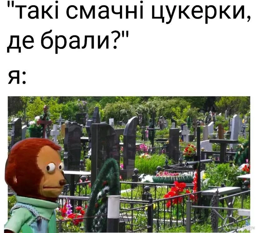 1000012381.webp