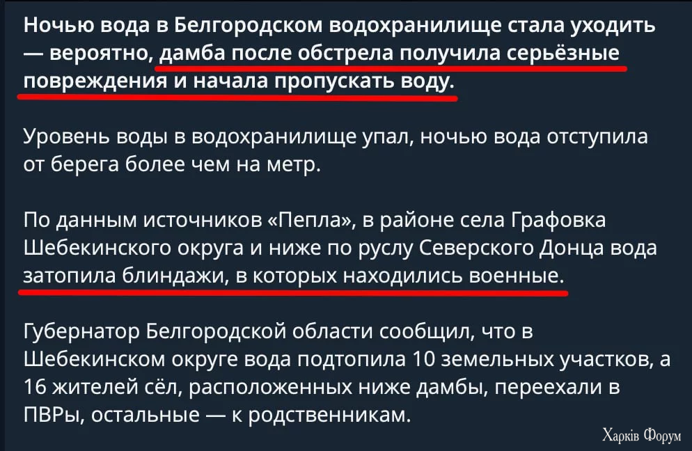 1000012645.webp