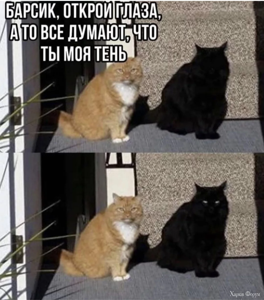 1000012779.webp