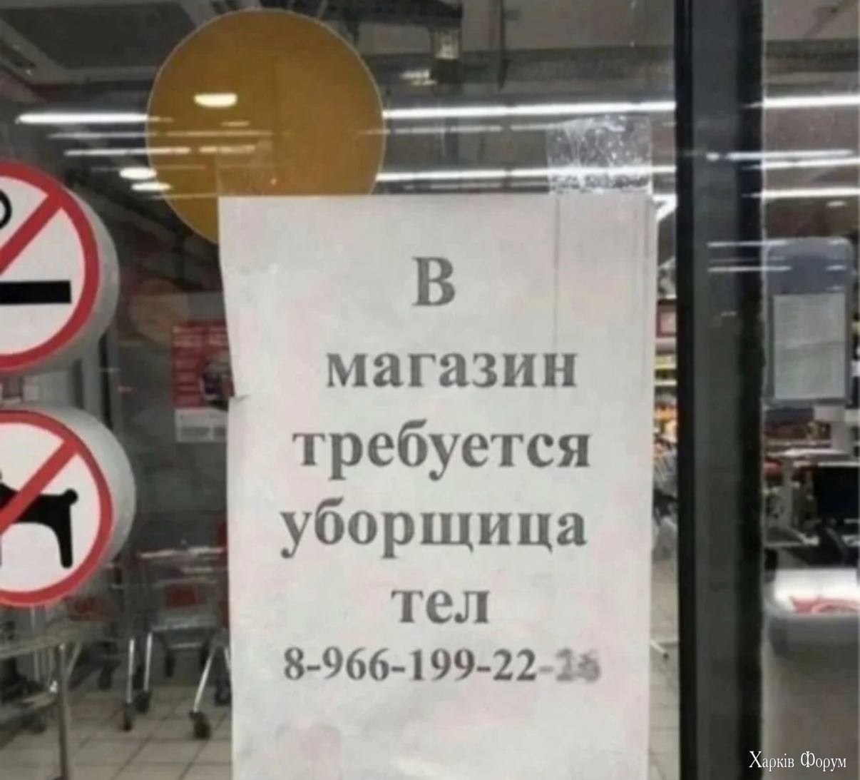 1000013034.jpg