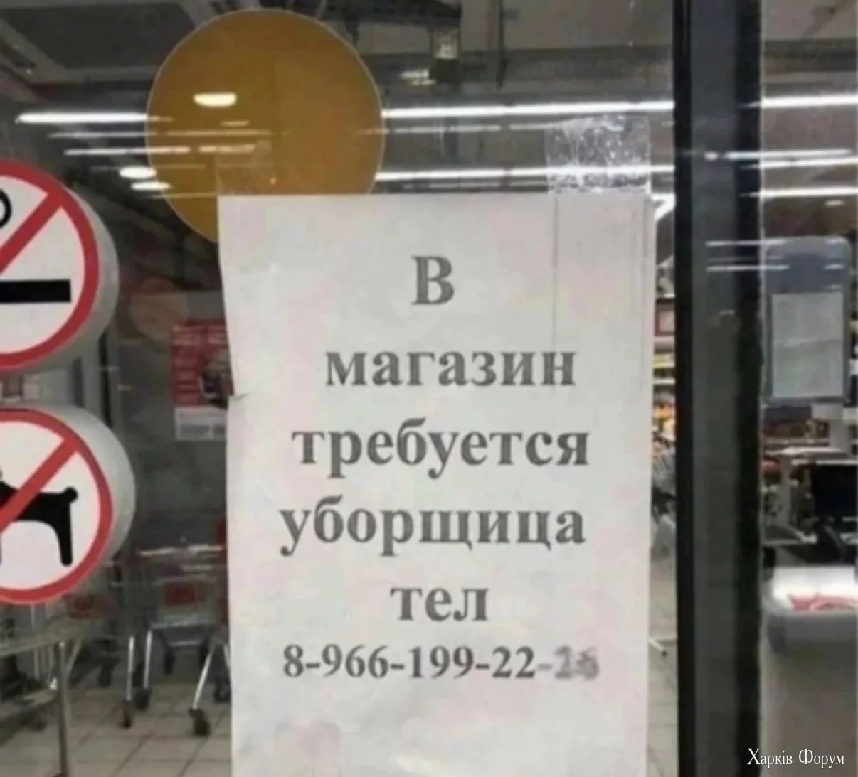 1000013034.webp