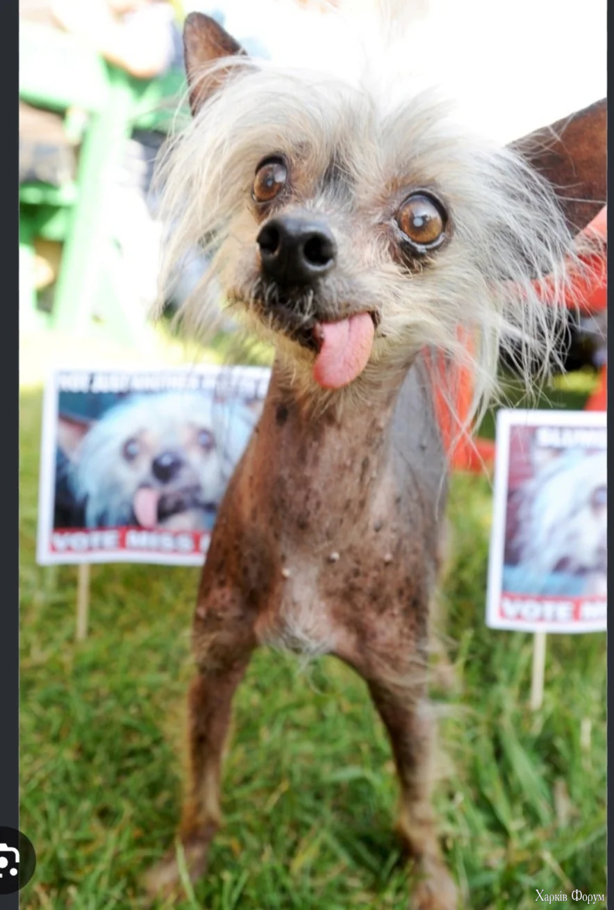 1000013051.webp