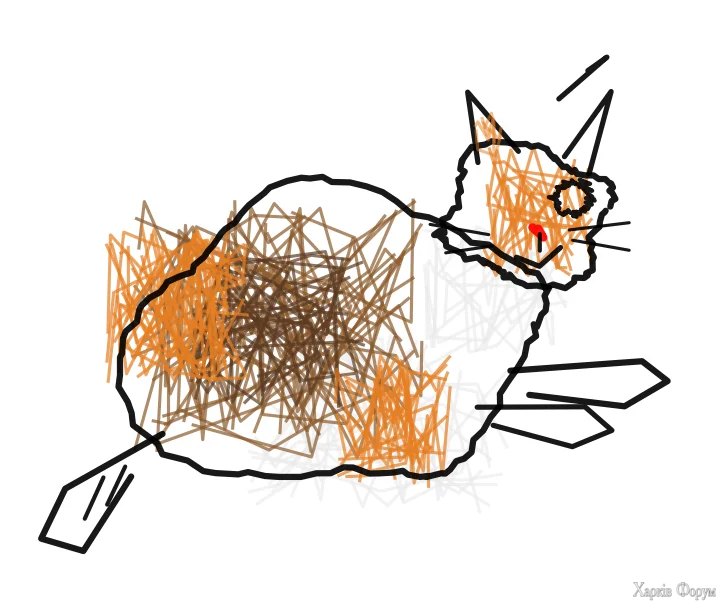 1000013073.webp