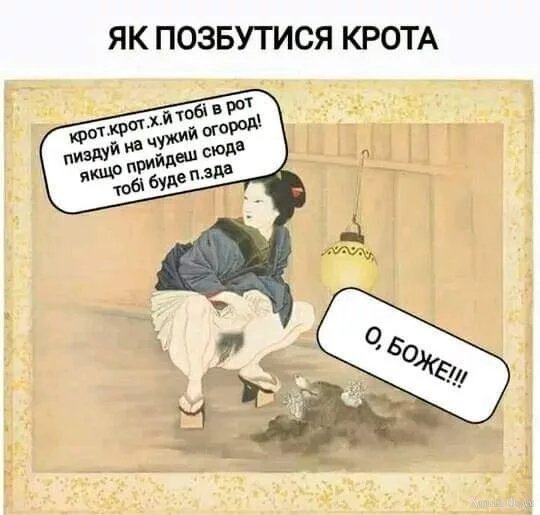 1000013219.webp
