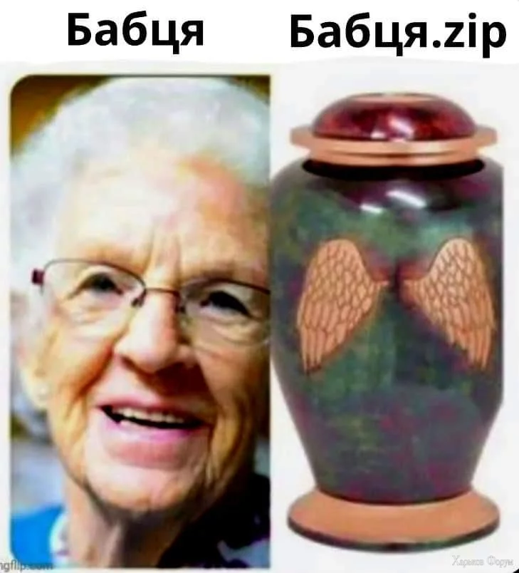1000013273.webp