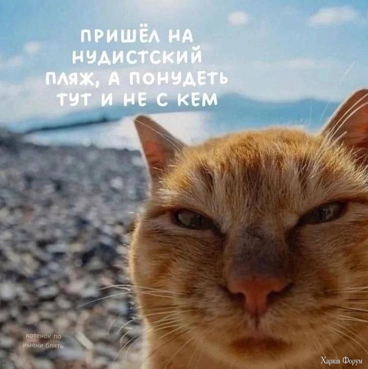 1000013298.jpg