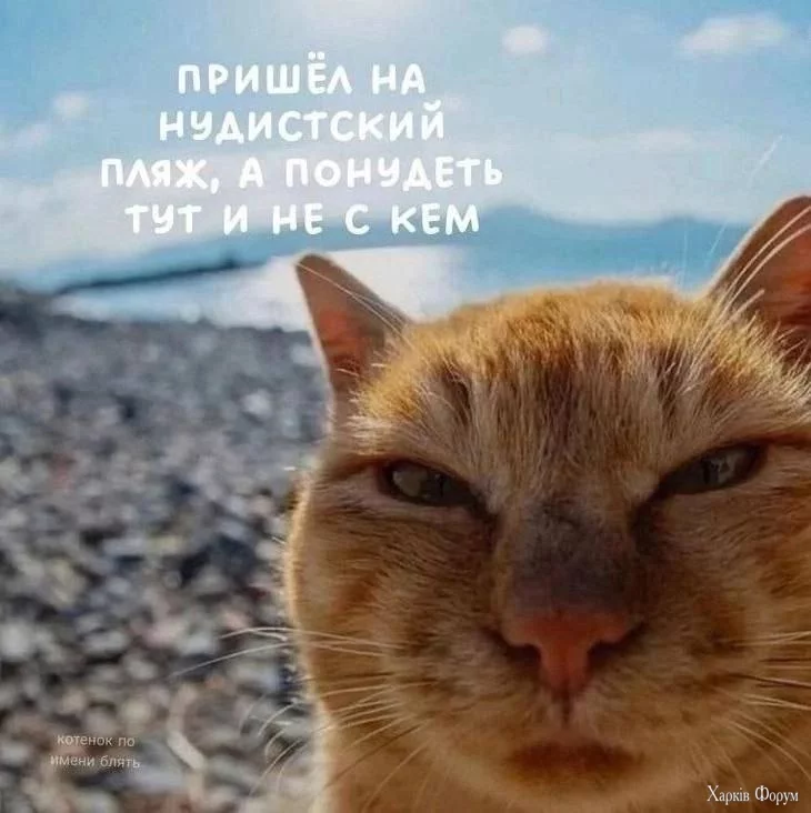 1000013298.webp