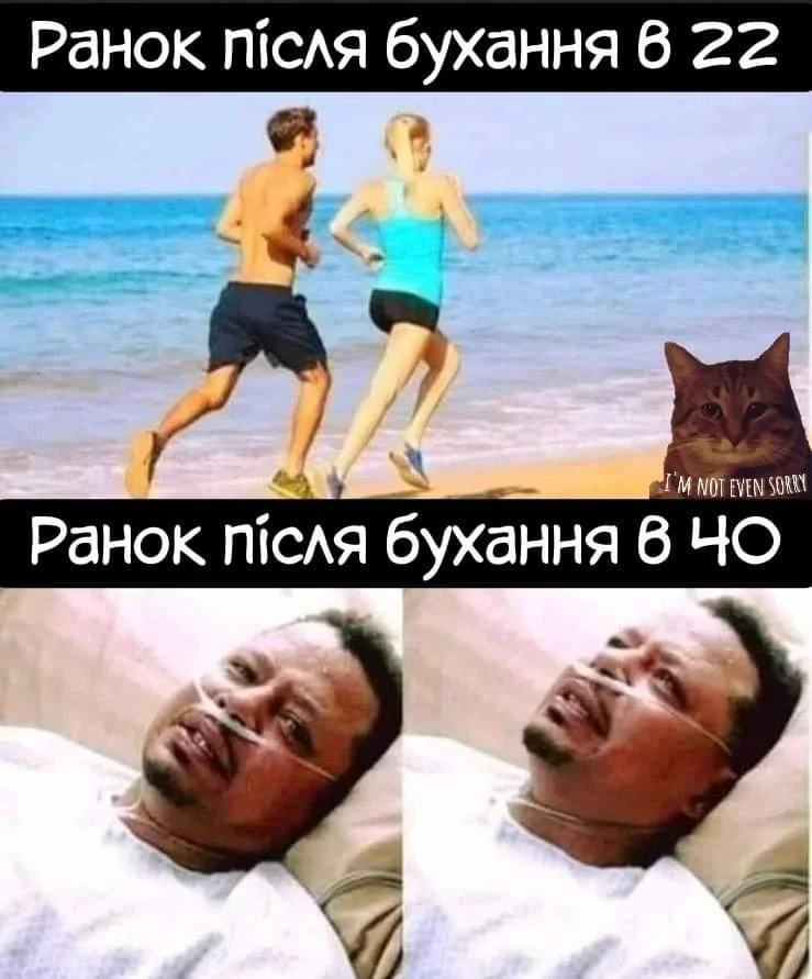 1000013824.webp