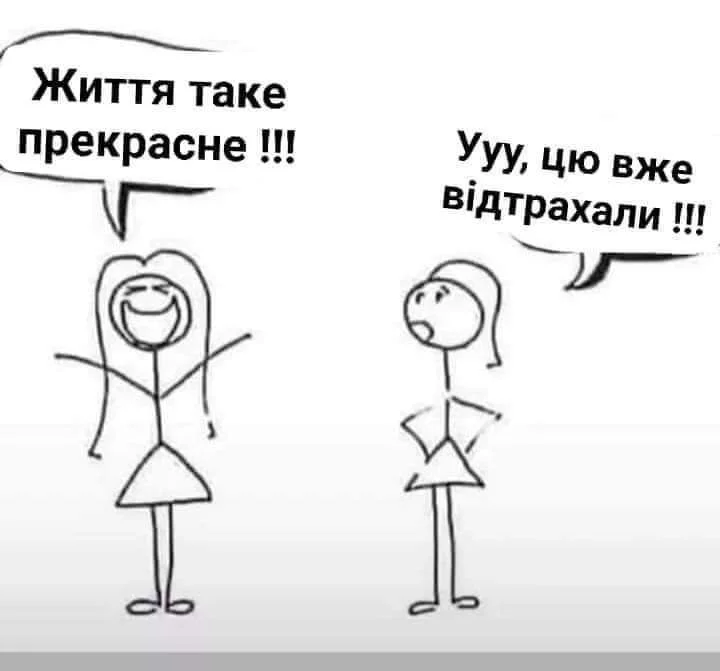 1000013833.webp