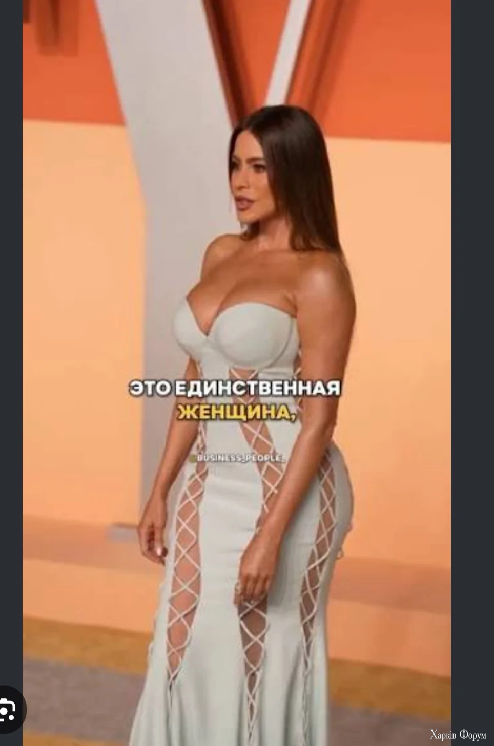 1000014229.webp