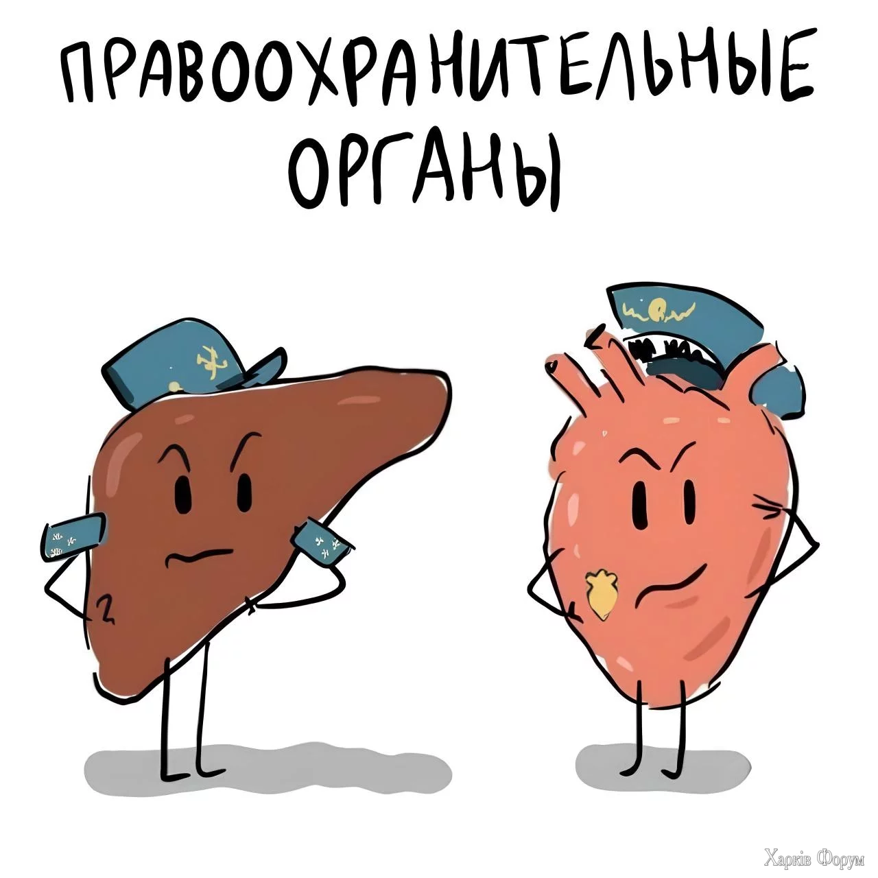 1000014250.webp