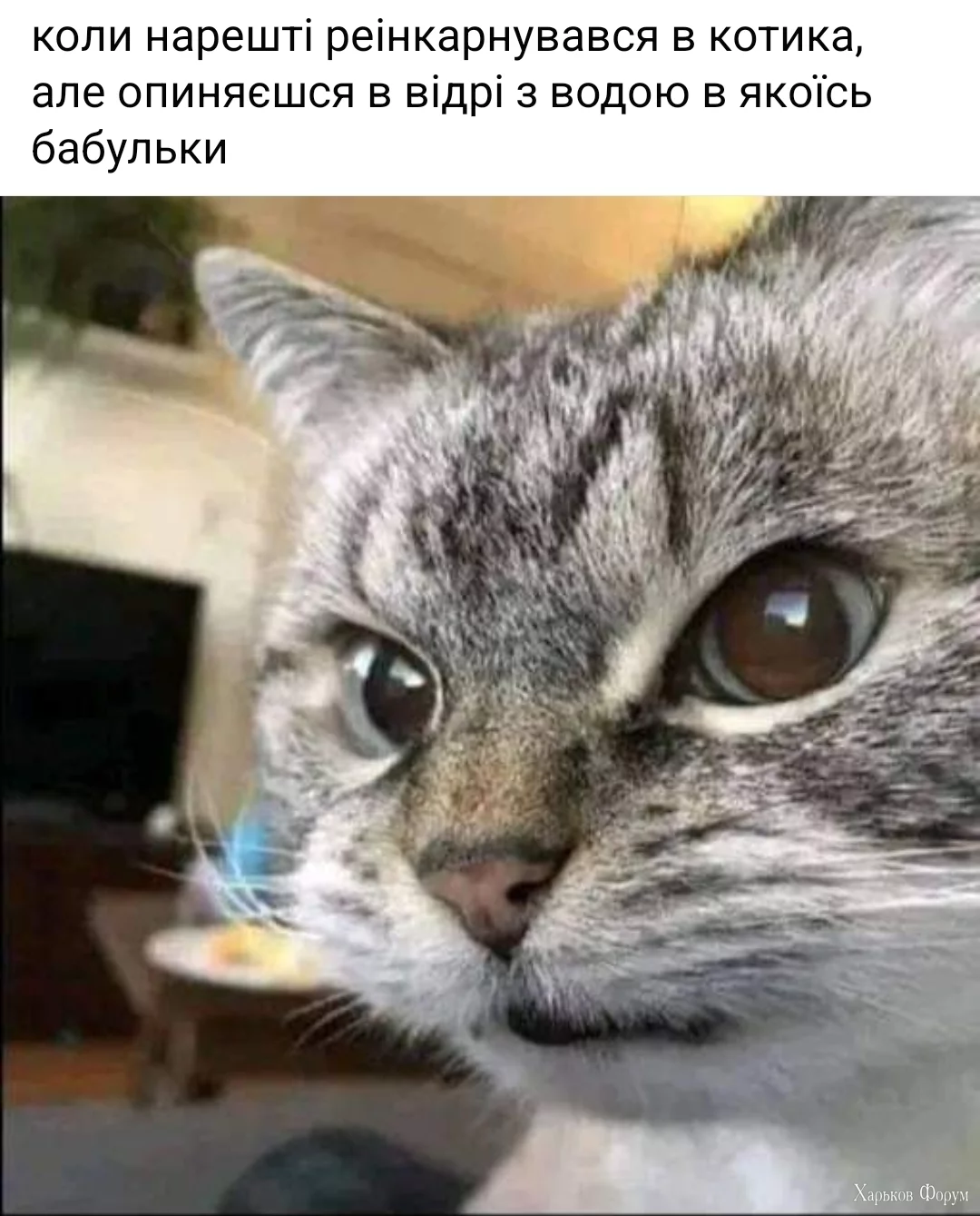 1000014268.webp