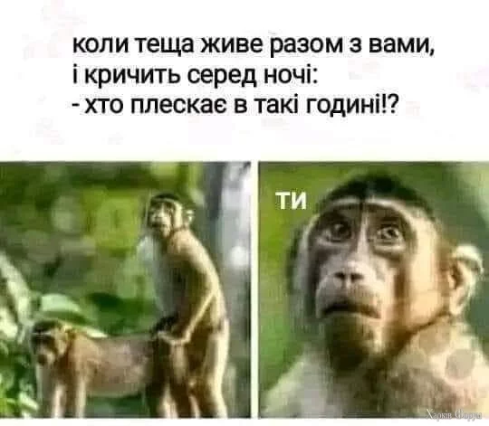 1000014675.webp