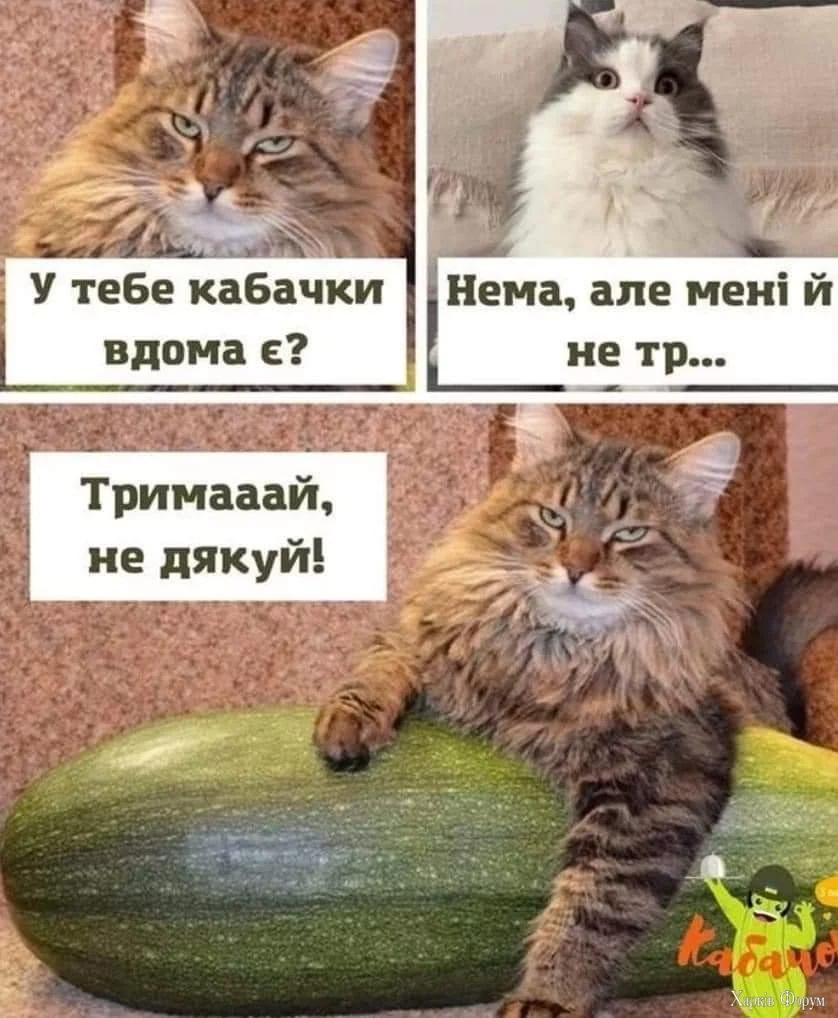 1000014741.webp