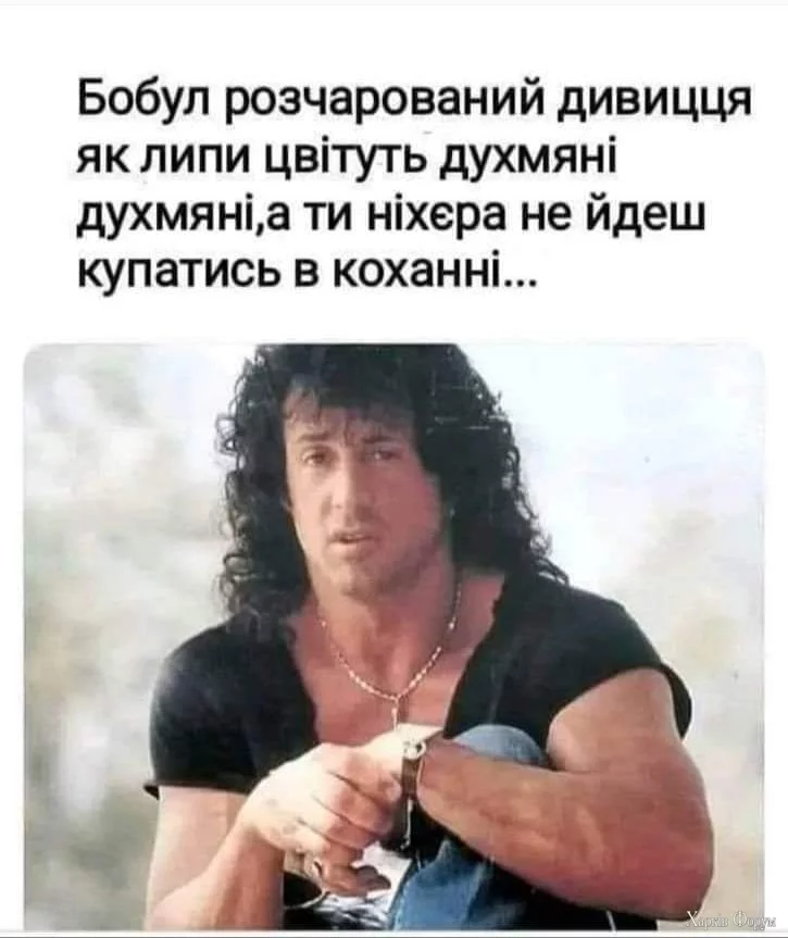 1000014766.webp