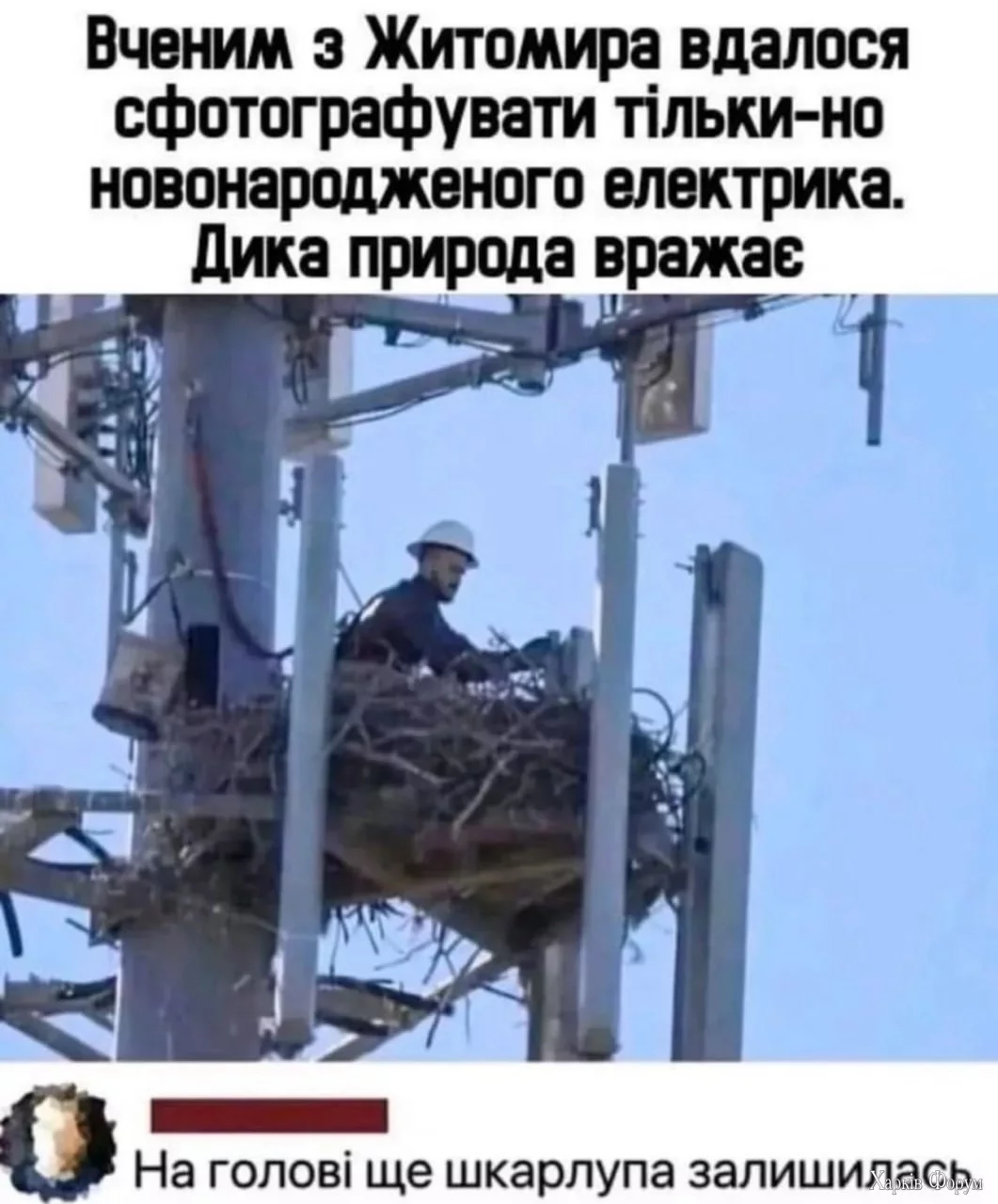 1000015191.webp