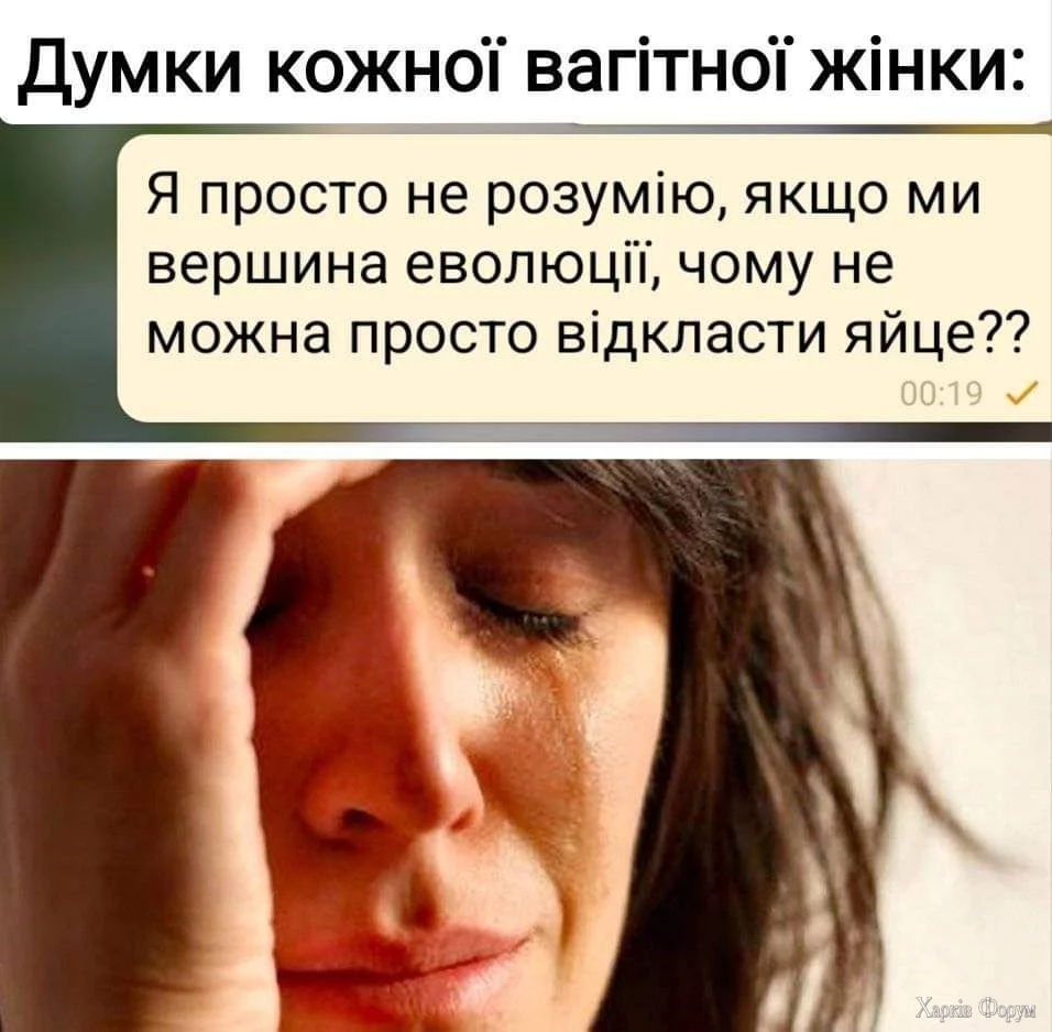 1000015382.webp