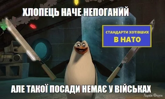 1000015465.webp