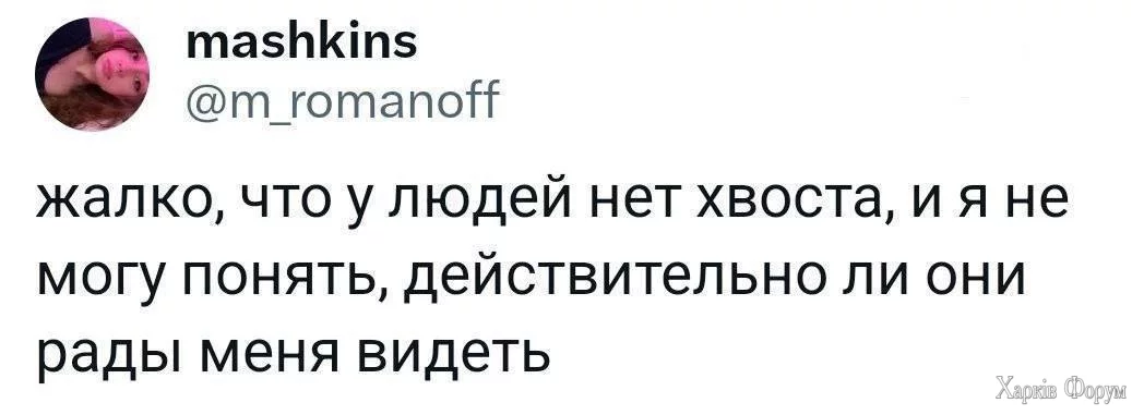 1000015555.webp