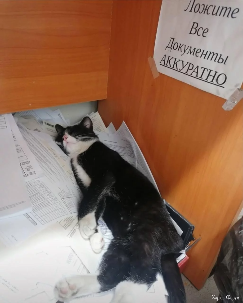 1000015556.webp