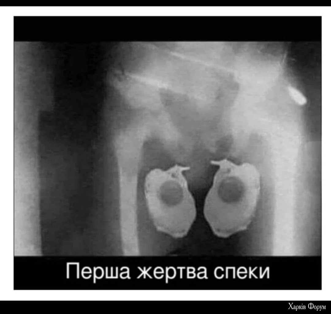 1000015746.webp