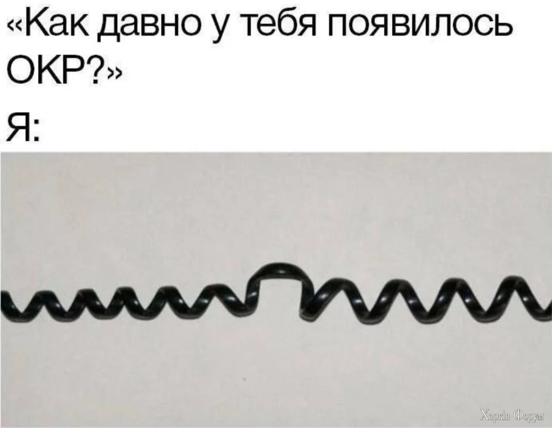1000016002.webp