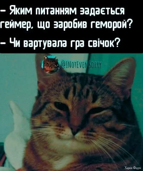 1000016256.webp