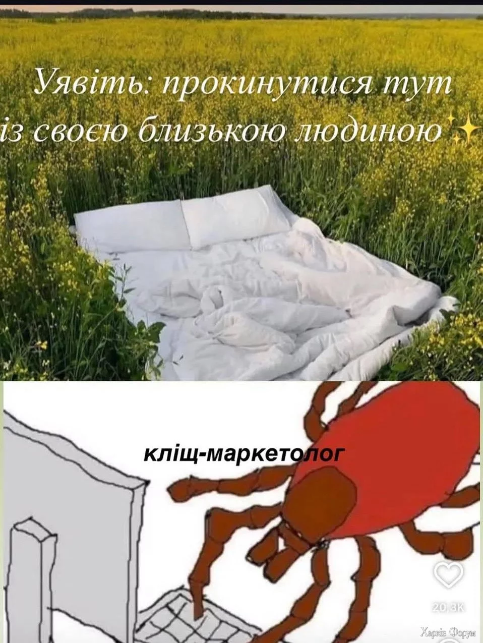 1000016391.webp
