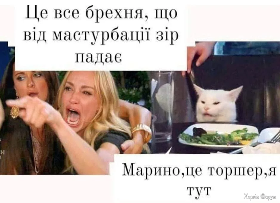 1000016469.webp