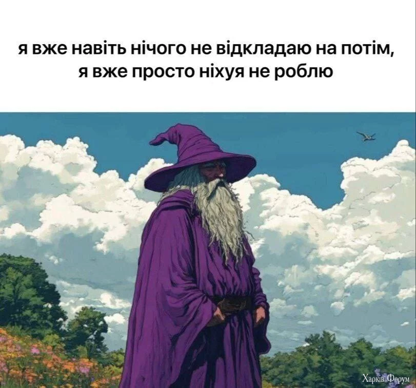 1000016488.webp