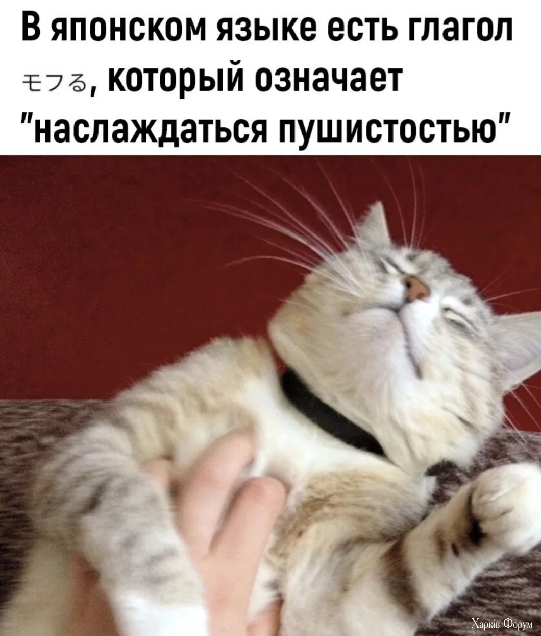 1000016649.webp