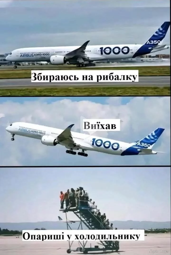 1000016779.webp