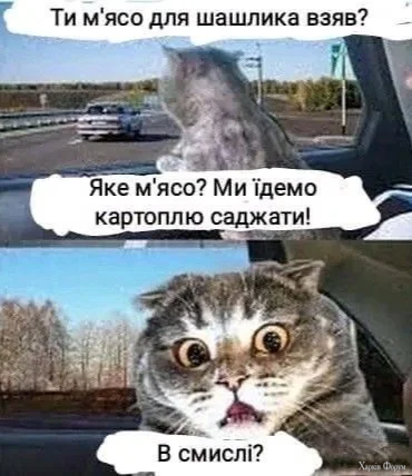 1000016788.webp