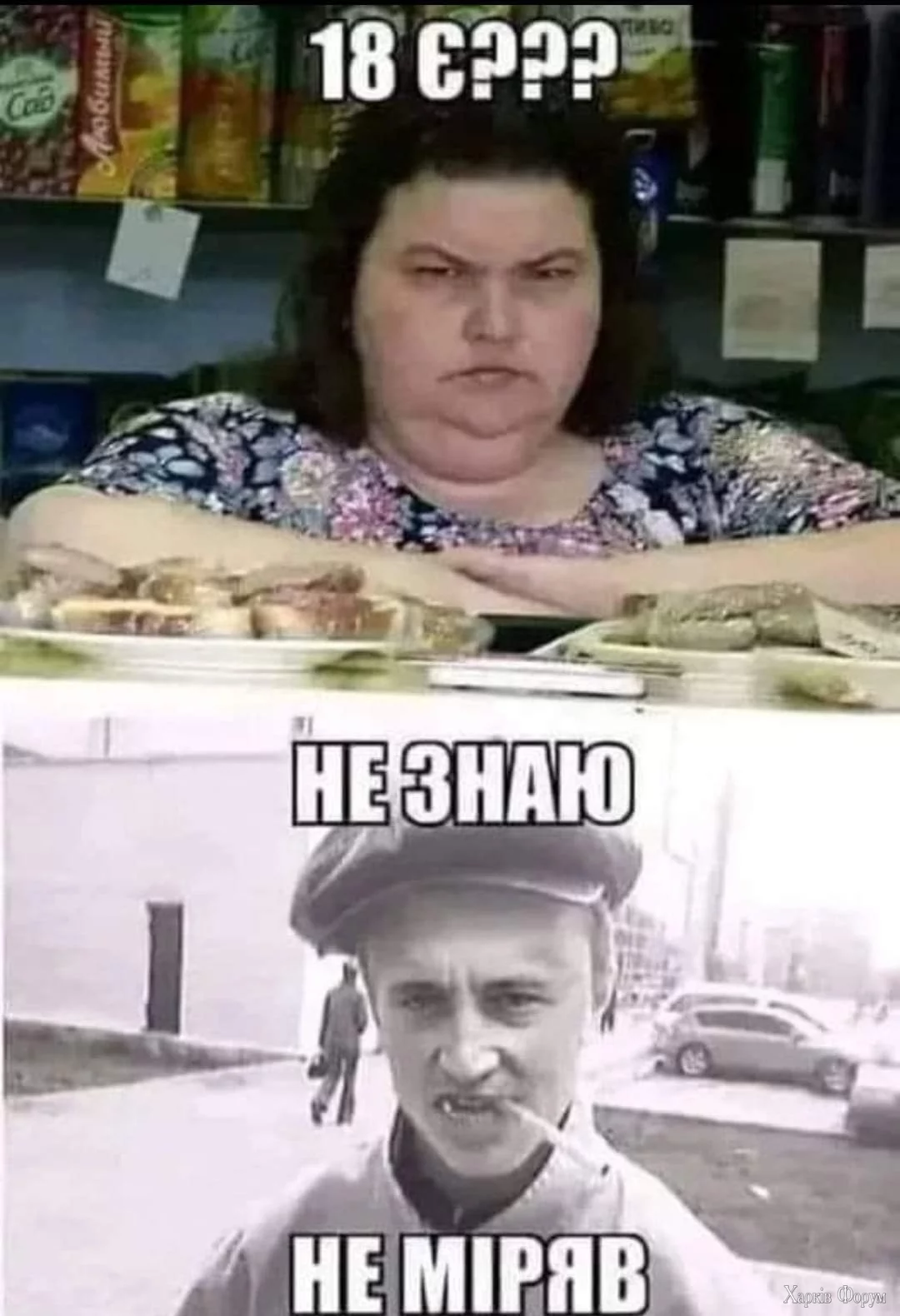1000016866.webp
