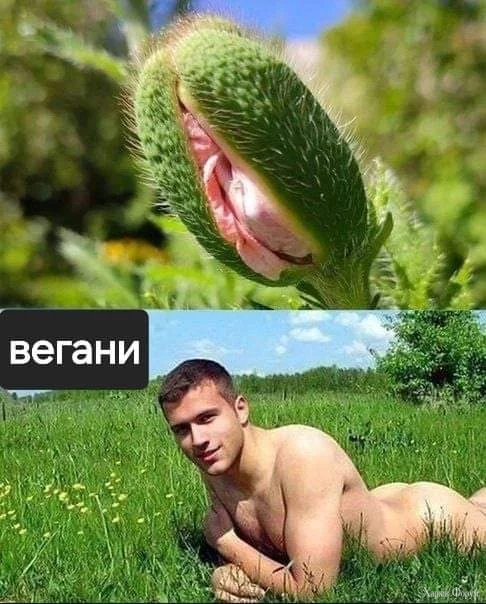1000016923.webp