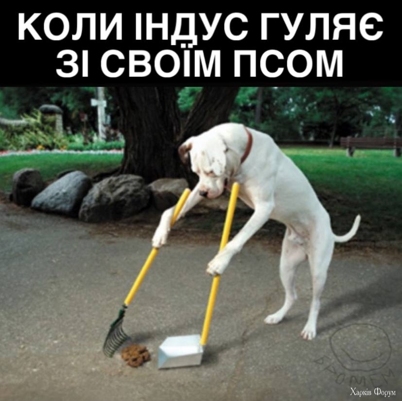 1000016996.jpg