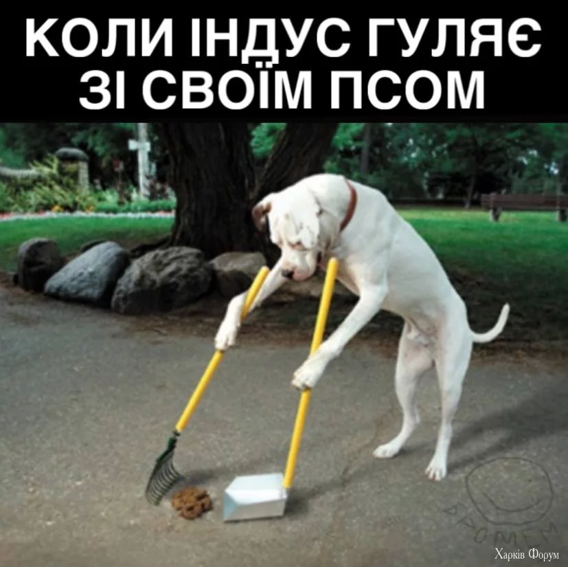 1000016996.webp