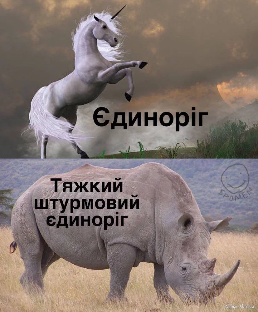 1000017255.webp