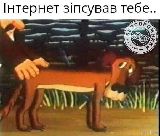 1000017303.webp